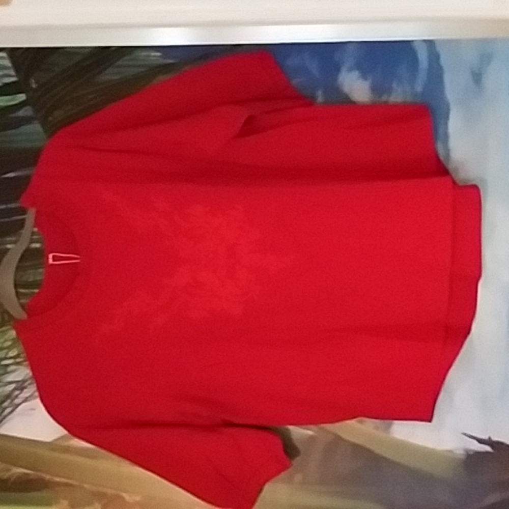 Komili Embroidered ruffle neck puff sleeve top